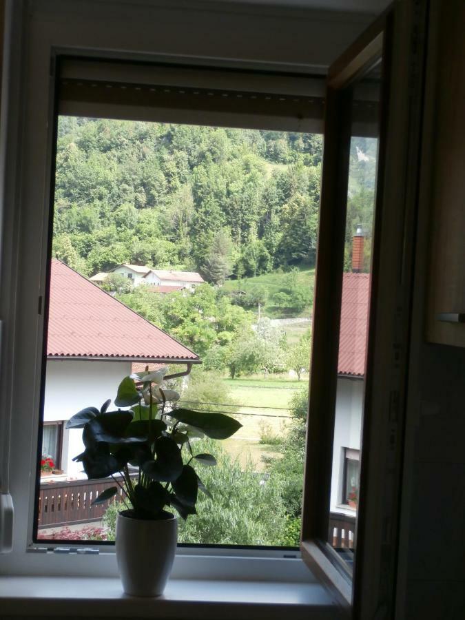 Apartma Ana Dreznica Kobarid Εξωτερικό φωτογραφία